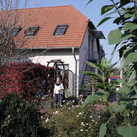 Apartment In Luckaitztal Gossda With Parking Space Exteriör bild